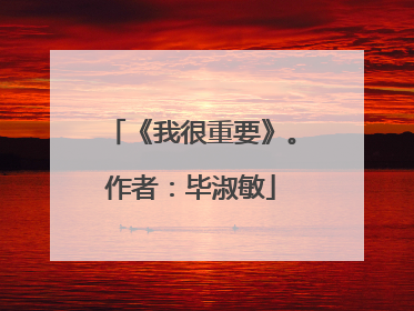 《我很重要》。作者：毕淑敏