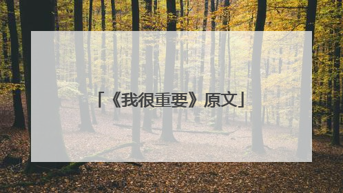 《我很重要》原文