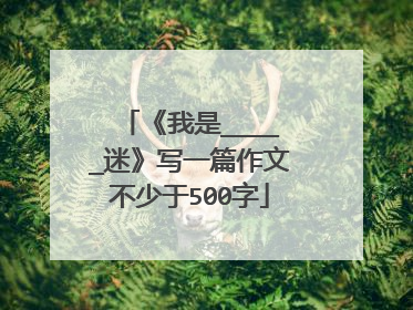 《我是_____迷》写一篇作文不少于500字