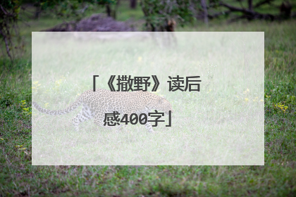《撒野》读后感400字
