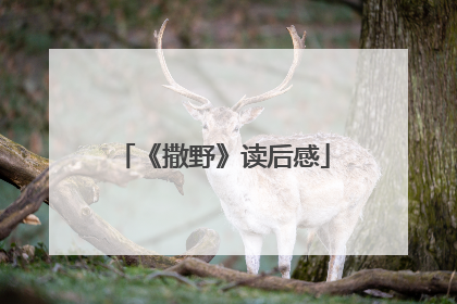 《撒野》读后感