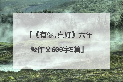 《有你,真好》六年级作文600字5篇
