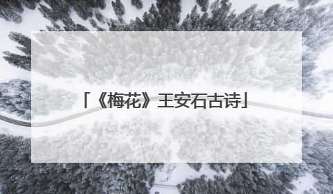 《梅花》王安石古诗