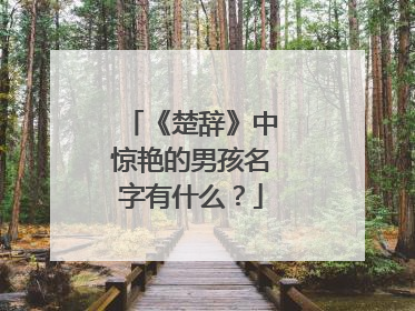 《楚辞》中惊艳的男孩名字有什么？