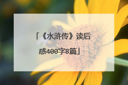 《水浒传》读后感400字8篇