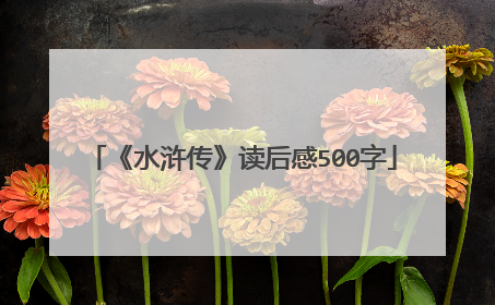 《水浒传》读后感500字
