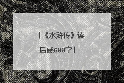 《水浒传》读后感600字