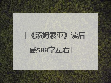 《汤姆索亚》读后感500字左右