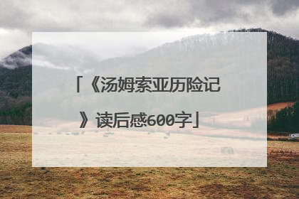 《汤姆索亚历险记》读后感600字