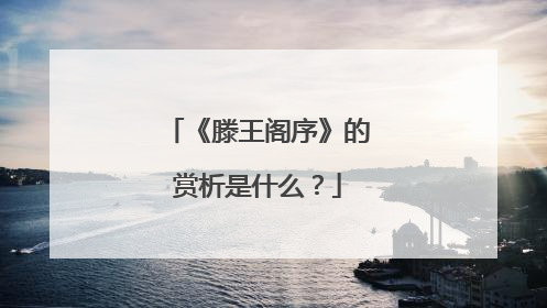 《滕王阁序》的赏析是什么？