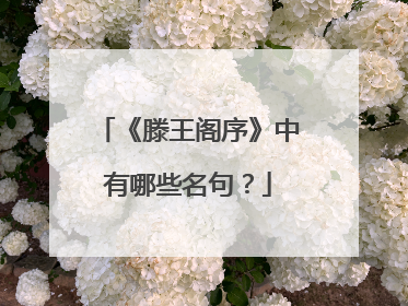 《滕王阁序》中有哪些名句？