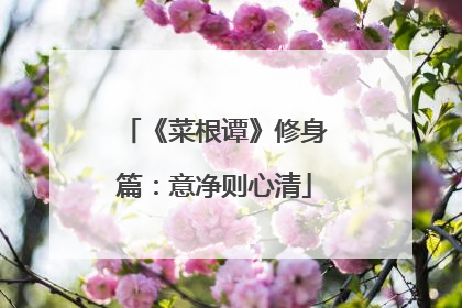 《菜根谭》修身篇：意净则心清