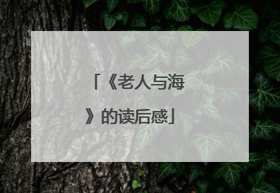 《老人与海》的读后感