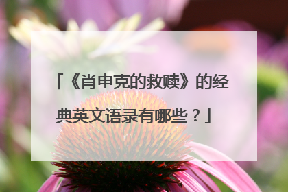 《肖申克的救赎》的经典英文语录有哪些？