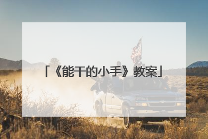 《能干的小手》教案