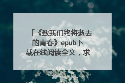 《致我们终将逝去的青春》epub下载在线阅读全文，求百度网盘云资源