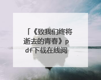 《致我们终将逝去的青春》pdf下载在线阅读全文，求百度网盘云资源