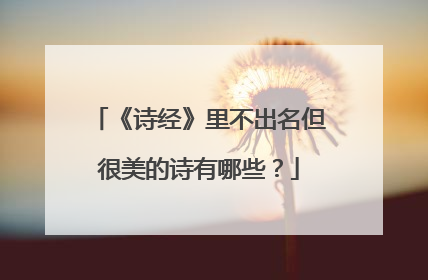 《诗经》里不出名但很美的诗有哪些?