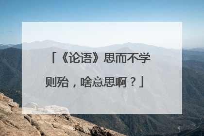 《论语》思而不学则殆,啥意思啊?