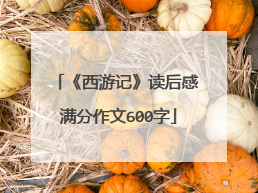 《西游记》读后感满分作文600字