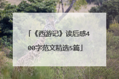 《西游记》读后感400字范文精选5篇
