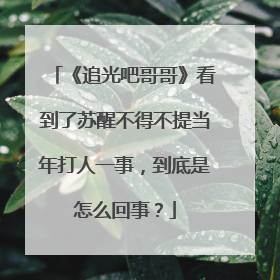 《追光吧哥哥》看到了苏醒不得不提当年打人一事，到底是怎么回事？