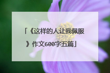 《这样的人让我佩服》作文600字五篇