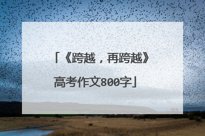 《跨越，再跨越》高考作文800字