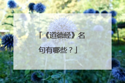 《道德经》名句有哪些?
