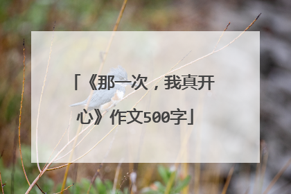 《那一次，我真开心》作文500字