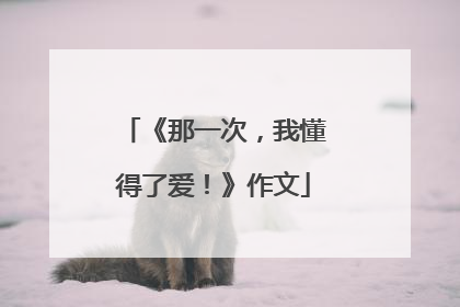 《那一次,我懂得了爱!》作文