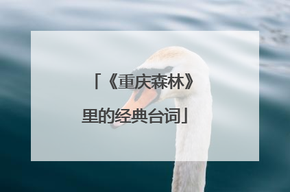 《重庆森林》里的经典台词
