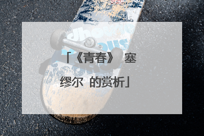 《青春》 塞缪尔 的赏析