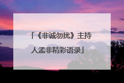 《非诚勿扰》主持人孟非精彩语录