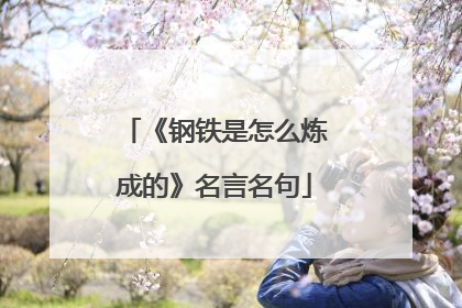 《钢铁是怎么炼成的》名言名句