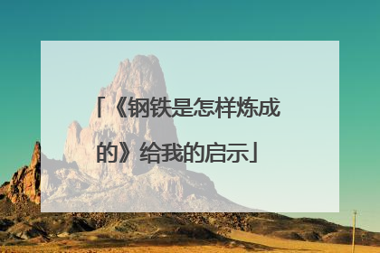 《钢铁是怎样炼成的》给我的启示