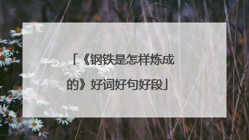 《钢铁是怎样炼成的》好词好句好段