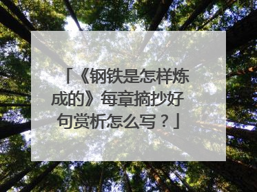 《钢铁是怎样炼成的》每章摘抄好句赏析怎么写？