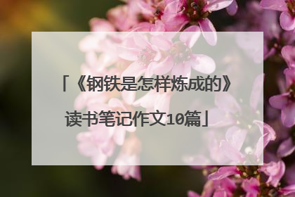 《钢铁是怎样炼成的》读书笔记作文10篇