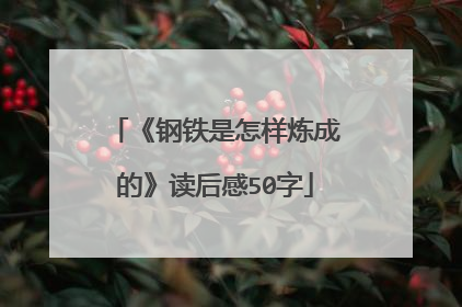 《钢铁是怎样炼成的》读后感50字