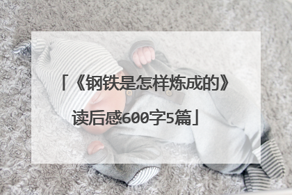 《钢铁是怎样炼成的》读后感600字5篇