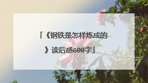《钢铁是怎样炼成的》读后感600字