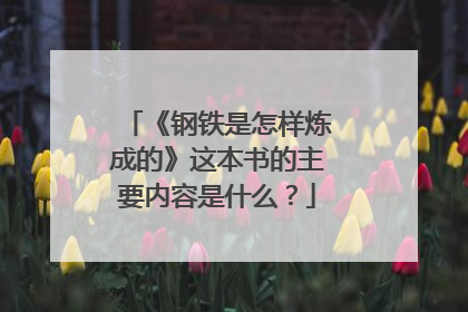 《钢铁是怎样炼成的》这本书的主要内容是什么？