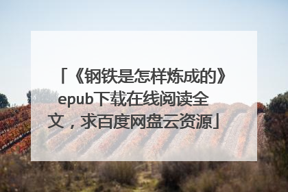 《钢铁是怎样炼成的》epub下载在线阅读全文，求百度网盘云资源