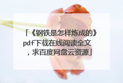 《钢铁是怎样炼成的》pdf下载在线阅读全文，求百度网盘云资源