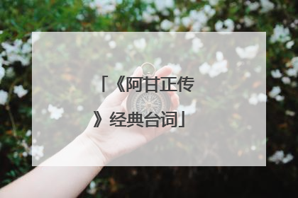 《阿甘正传》经典台词