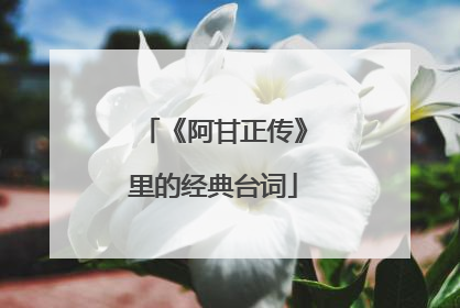 《阿甘正传》里的经典台词