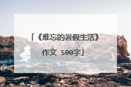 《难忘的暑假生活》 作文 500字