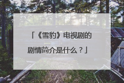 《雪豹》电视剧的剧情简介是什么？