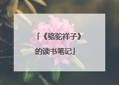 《骆驼祥子》的读书笔记